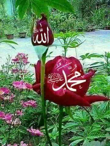 O Zot, na stolis me moral te larte islam!